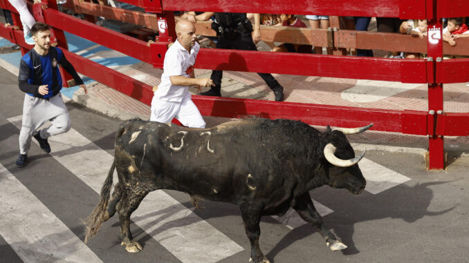 Detalle del primer encierro de San Sebastian de los Reyes, en el que seis corredores han resultado heridos. EFE/Rodrigo Jimenez
