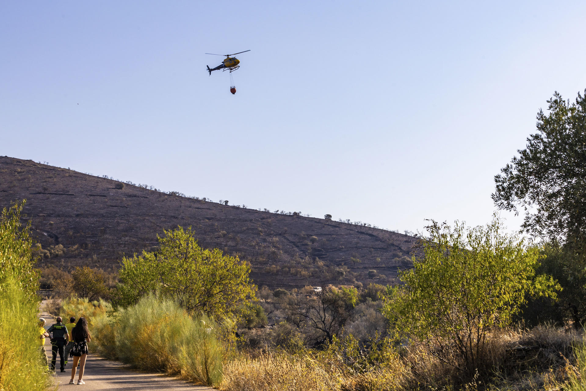 Los equipos que trabajan en el incendio forestal activo desde el martes en La Estrella (Toledo), han conseguido estabilizarlo, lo que ha permitido que se baje a nivel 0 de operatividad, al no presentar frentes activos que hagan avanzar el fuego. EFE/ Ángeles Visdómine
