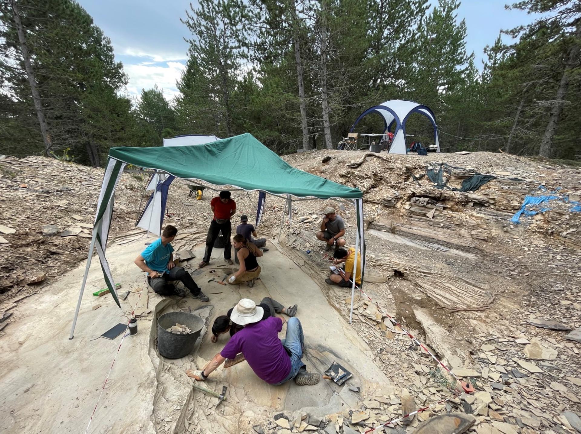 Trabajos de excavación Yacimiento de Las Hoyas (Cuenca). Foto de la Universidad Autónoma de Madrid.
