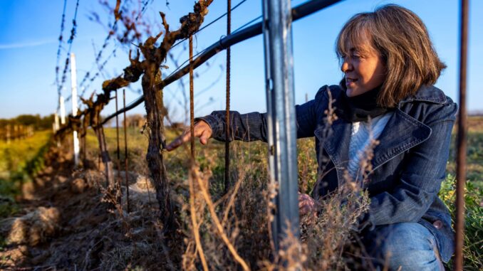 Imagen de archivo de una agricultora revisando su producción. EFE /Ismael Herrero
