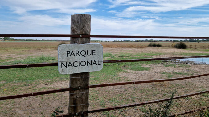 Vista del Parque Nacional de Doñana desde la localidad de Almonte (Huelva). Archivo EFE/ Laura Ramírez
