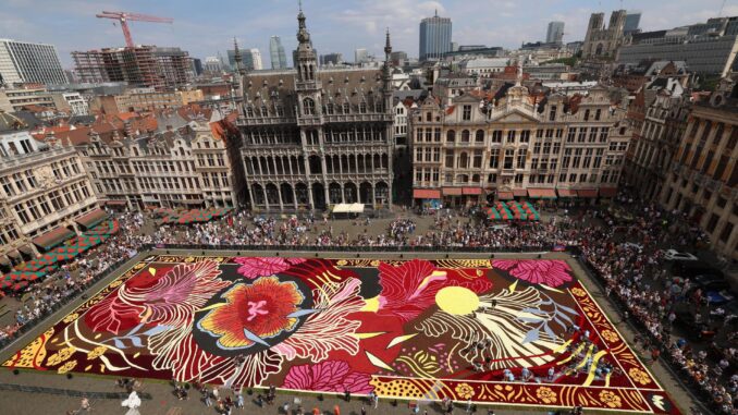 A general view on the Flower Carpet at the Grand-Place in Brussels, Belgium, 15 August 2024. Every two years, the Grand Place in Brussels is covered with a carpet of begonias. The 70m x 24m carpet is made by 120 volunteers, using almost 1 million flowers in less than 4 hours. (Bélgica, Bruselas) EFE/EPA/OLIVIER HOSLET
