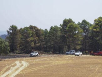 Equipos de extinción de incendios trabajan en el término municipal de Valverdejo (Cuenca). EFE / Álvaro Del Olmo