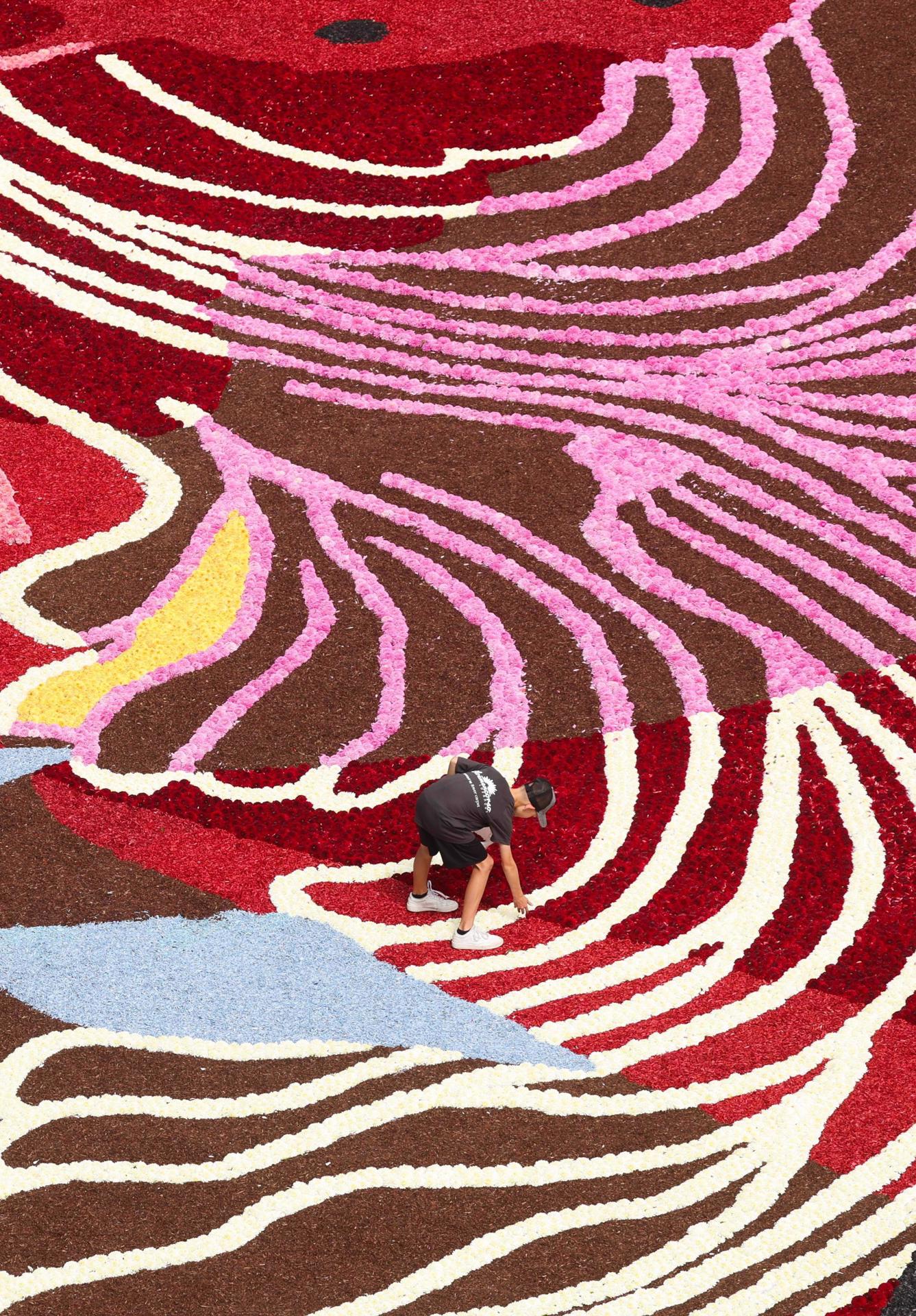 - Unos voluntarios preparan una alfombra floral este jueves en Bruselas, Bélgica. Cada dos años la Grand Place de Bruselas se cubre con una alfombra de begonias. EFE/ Olivier Hoslet
