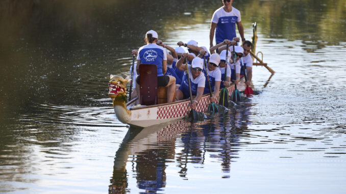 'Las Dragonas del Tajo', equipo en la modalidad de piragüismo de barco dragón, durante un entrenamiento en Talavera de la Reina. EFE/ Manu Reino
