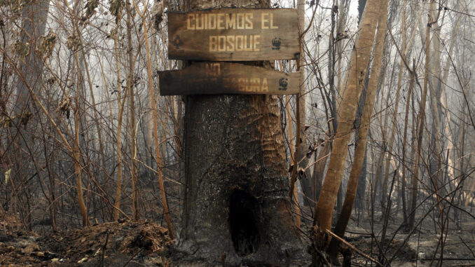 Fotografía de un letrero en un árbol tras un incendio en la comunidad este jueves, en Río Blanco (Bolivia). EFE/Juan Carlos Torrejón
