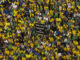 Fotografía aérea de simpatizantes del expresidente brasileño Jair Bolsonaro durante una movilización este sábado en la avenida Paulista de Sao Paulo (Brasil). EFE/ Isaac Fontana