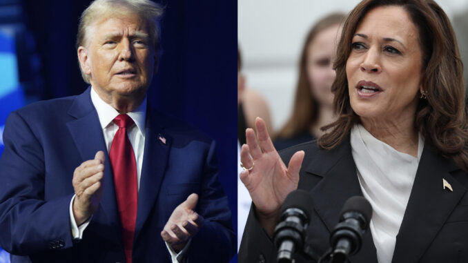 Combo de fotografías donde se observa a los candidatos a la presidencia de Estados Unidos el expresidente Donald Trump y a la actual vicepresidenta Kamala Harris. EFE/ Ting Shen / POOL
