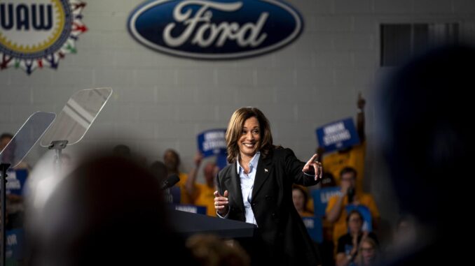 Fotografía de archivo de la vicepresidenta de Estados Unidos y candidata demócrata, Kamala Harris. EFE/EPA/CYDNI ELLEDGE
