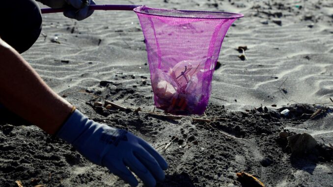 Fotografía de archivo de voluntarios participando en el Proyecto LIBERA, de SEO/BirdLife en alianza con Ecoembes, que retira e identifica la basura abandonada en espacios naturales o "basuraleza". EFE/ J.J. Guillén
