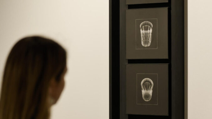 Imagen de archivo de una mujer contemplando una serie fotográfica. EFE/Ana Escobar
