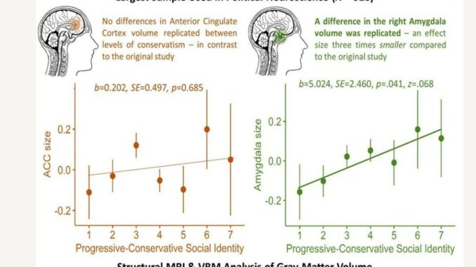 Gráfico del artículo publicado en iScience que analiza la correlación entre la idiología política y la estructura cerebral. Fotografía facilitada por Petropoulos Petalas et al./iScience. EFE
