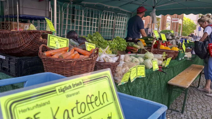 Königs Wusterhausen (Alemania), 18 sep (EFE).- A falta de pocos días para las elecciones del domingo en Brandeburgo, en el este alemán, reina el descontento con los partidos tradicionales entre los comerciantes del mercado de Königs Wusterhausen, donde algunos clientes aún son fieles al Partido Socialdemócrata de Alemania (SPD) del primer ministro brandeburgués Dietmar Woidke. Las quejas a la gestión de la coalición que lidera el canciller Olaf Scholz, compuesta por socialdemócratas, ecologistas y liberales, lleva a muchos de los tenderos que ofrecen productos locales en el mercado de la calle de la estación de trenes de Königs Wusterhausen a votar partidos de protesta, en general, y a la ultraderechista Alternativa para Alemania (AfD), en particular. EFE/ Salvador Martínez Mas
