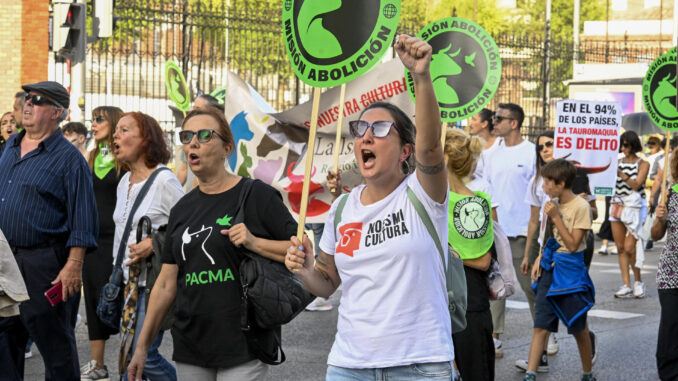 El Partido Animalista Con el Medio Ambiente (Pacma) ha reunido este sábado a cientos de personas frente a la plaza de toros de Las Ventas de Madrid para pedir la abolición de la tauromaquia, una práctica que consideran de “crueldad extrema” para los animales.
