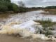 Cauce del río Guadiamar a su paso por Gerena (Sevilla). EFE/Fermín Cabanillas