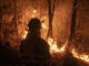 Un bombero forestal observa las llamas mientras trabaja en las labores de extinción de un incendio forestal, en una fotografía de archivo. EFE/ Brais Lorenzo