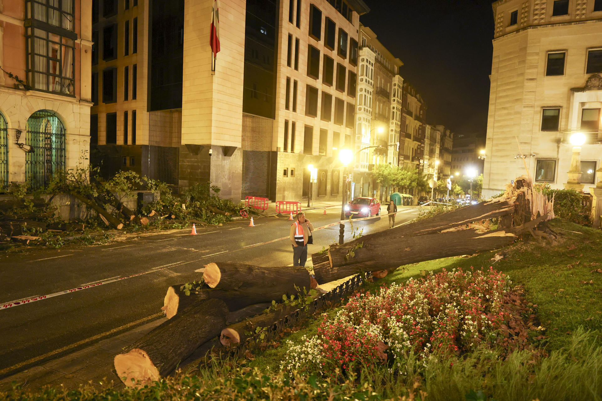 Un árbol centenario caído esta pasada noche en una céntrica plaza de Bilbao como consecuencia de la borrasca Kirk. EFE/Luis Tejido
