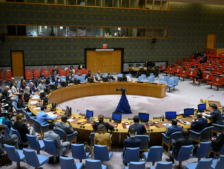 Fotografía cedida por la ONU donde se muestra el pleno del Consejo de Seguridad, durante una reunión sobre la paz y la seguridad en África, este jueves, en la sede del organismo internacional en Nueva York (Estados Unidos). EFE/Loey Felipe/ONU