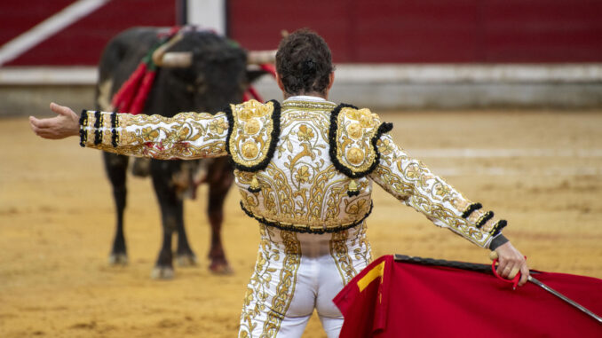 El diestro David Fandila "El Fandi" con el segundo toro de la tarde este domingo en la Plaza de Toros de Jaén.- EFE/ José Manuel Pedrosa.
