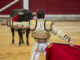 El diestro David Fandila "El Fandi" con el segundo toro de la tarde este domingo en la Plaza de Toros de Jaén.- EFE/ José Manuel Pedrosa.