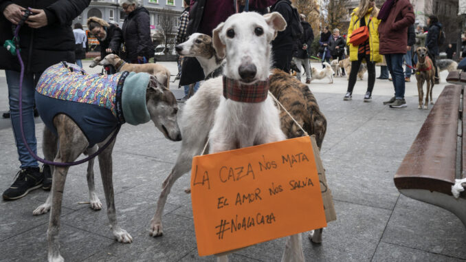 Decenas de personas acompañadas por sus perros, sobre todo galgos pero también de otras razas, se manifiestan para exigir que se prohíba el uso de perros para la caza y se les proteja en la ley de Bienestar Animal, en una imagen de archivo. EFE/ROMÁN G. AGUILERA
