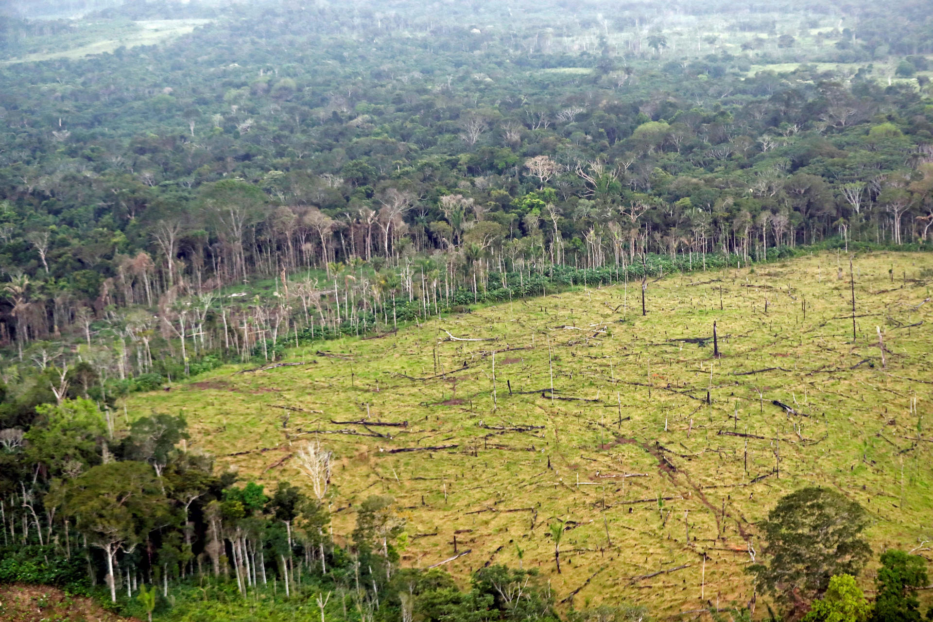 Fotografía de archivo del 3 de septiembre de 2020 de una zona deforestada en Nueva Colombia (Colombia). EFE/ Mauricio Dueñas Castañeda
