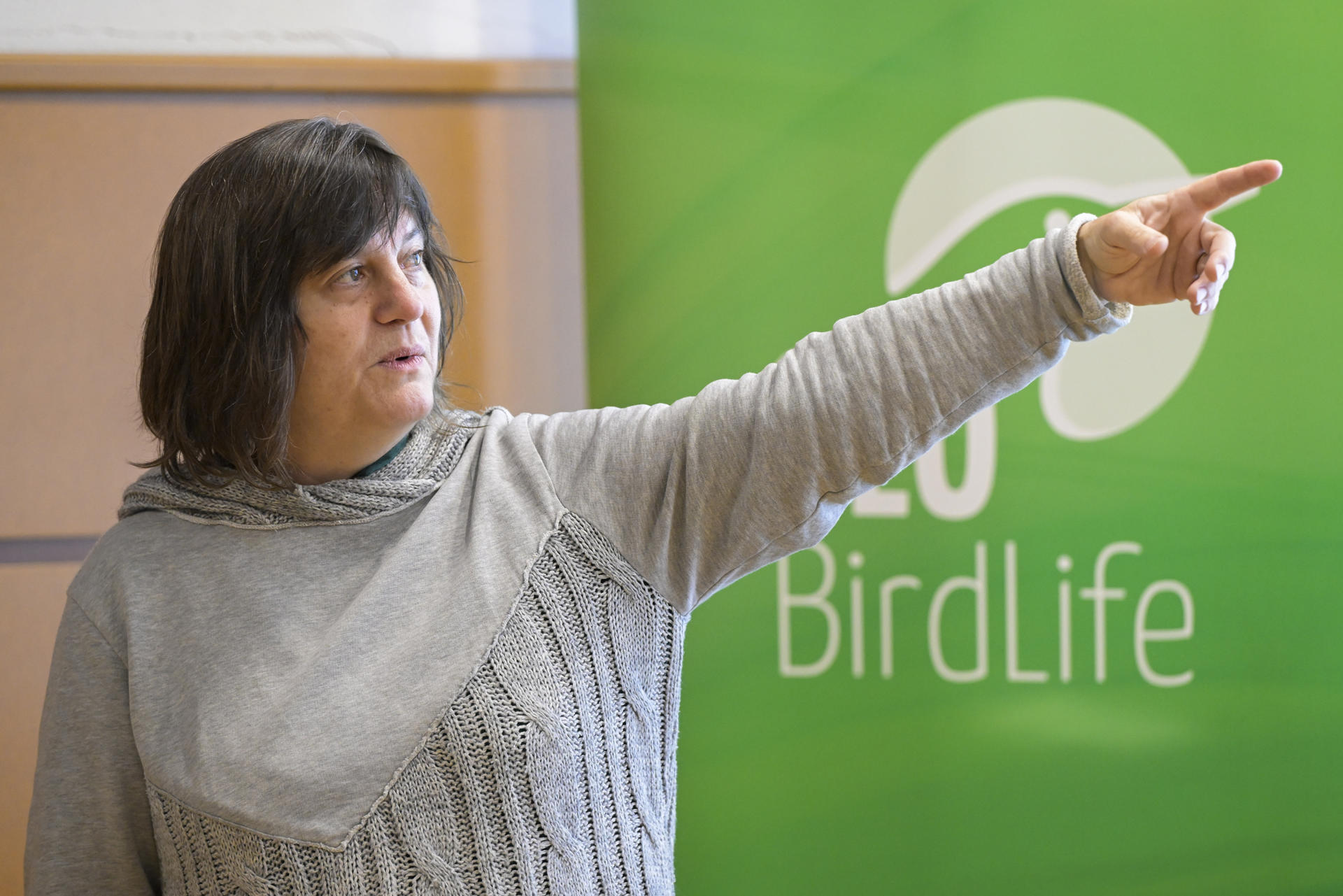 La directora del Instituto de Investigación en Recursos Cinegéticos (IREC) y presidenta del Comité Científico de SEO/BirdLife, Beatriz Arroyo, durante la presentación hoy jueves del estudio sobre el comportamiento del aguilucho cenizo este jueves en Ciudad real EFE/Jesús Monroy
