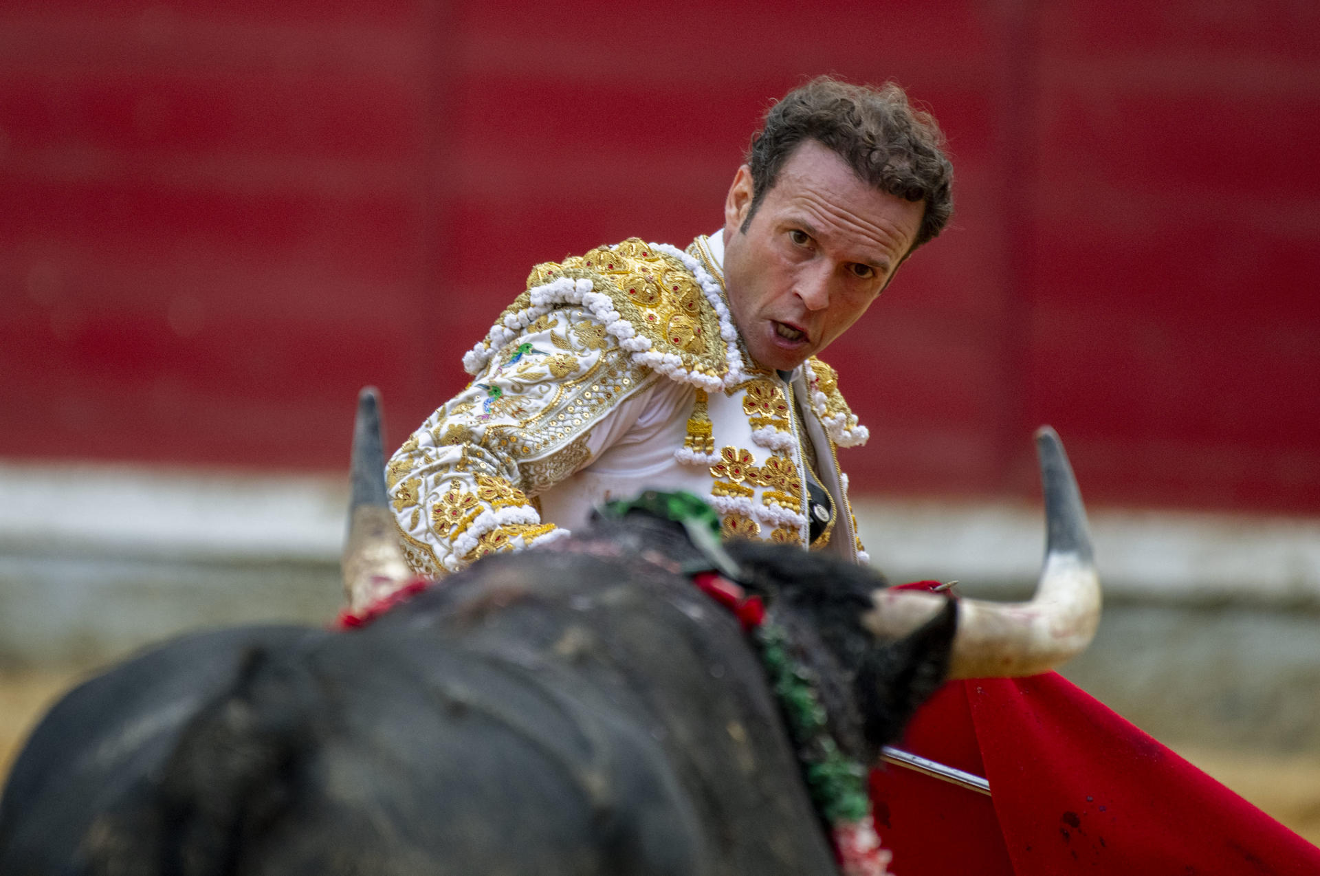 El diestro Antonio Ferrera con su segundo toro, este domingo en la Plaza de Toros de Jaén.- EFE/ José Manuel Pedrosa.
