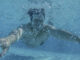 Un joven se sumerge en el agua de una piscina. EFE/Brais Lorenzo