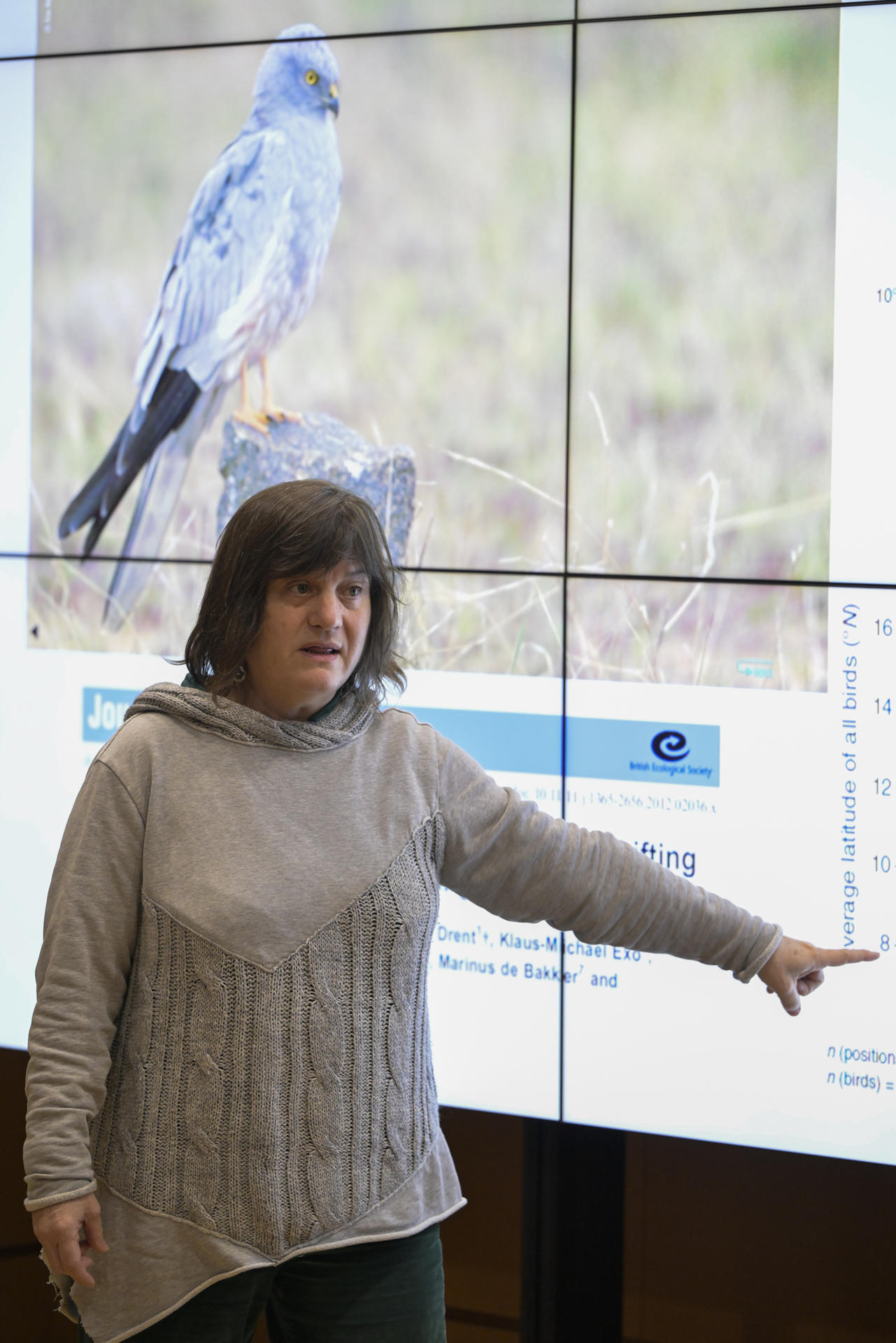 La directora del Instituto de Investigación en Recursos Cinegéticos (IREC) y presidenta del Comité Científico de SEO/BirdLife, Beatriz Arroyo, durante la presentación hoy jueves del estudio sobre el comportamiento del aguilucho cenizo este jueves en Ciudad real EFE/Jesús Monroy
