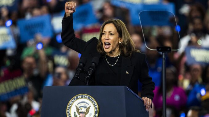 Fotografía de la vicepresidenta de Estados Unidos, Kamala Harris. EFE/Jim Scalzo
