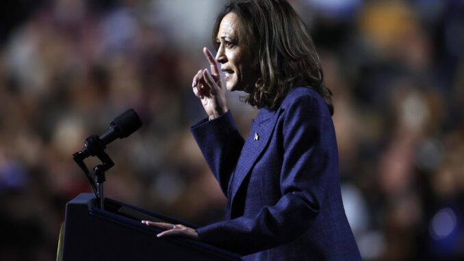 Fotografía de la vicepresidenta y candidata demócrata, Kamala Harris. EFE/Cj Gunther
