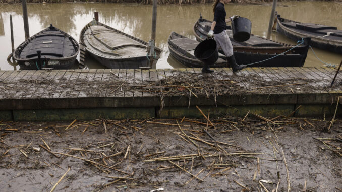 Una mujer durante las labores de limpieza del puerto de la Albufera en Catarroja, tras la dana del 29 de octubre. EFE/ Kai Forsterling
