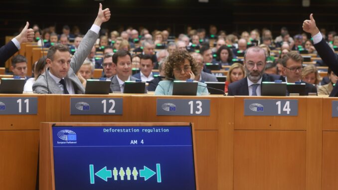 MEPs vote on the Deforestation Regulation during a plenary session of the European Parliament in Brussels, Belgium, 14 November 2024. (Bélgica, Bruselas) EFE/EPA/OLIVIER HOSLET
