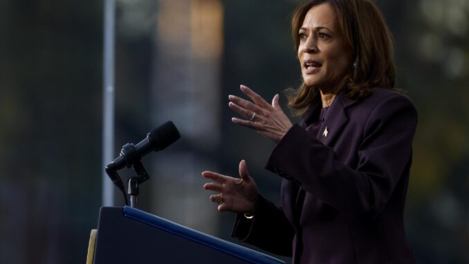 La vicepresidenta estadounidense, Kamala Harris. EFE/SHAWN THEW
