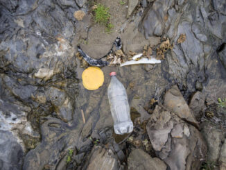 Imágenes de basura y microplásticos incrustados en el suelo de una playa, en una imagen de archivo. EFE/ David Arquimbau Sintes