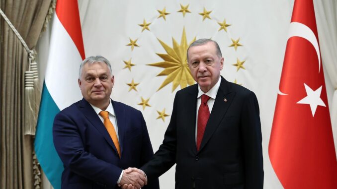 Una foto proporcionada por la oficina de prensa presidencial turca muestra al presidente turco Recep Tayyip Erdogan (D) y al primer ministro húngaro Viktor Orban (I) dándose la mano durante su reunión en el Palacio Presidencial en Ankara, Turquía, el 12 de diciembre de 2024. (Hungría, Turquía) EFE/EPA/OFICINA DE PRENSA PRESIDENCIAL TURCA / MATERIAL DE MANO USO EDITORIAL SOLAMENTE/NO A LA VENTA
