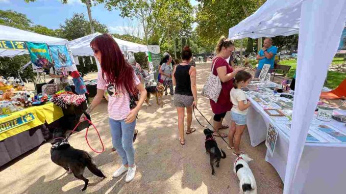 Campaña adopción de animales