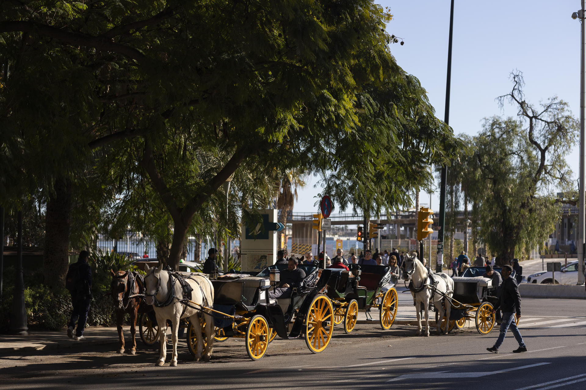 Media docena de cocheros esperan la llegada de clientes para un recorrido por enclaves turísticos de la ciudad, este miércoles junto al Puerto de Málaga. EFE/Carlos Díaz
