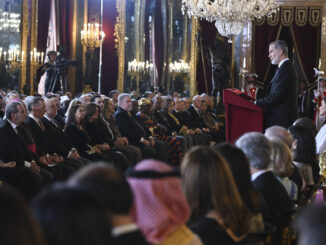 El rey Felipe VI se dirige a los embajadores acreditados en España en el discurso que pronuncia este jueves en la tradicional recepción al cuerpo diplomático acreditado en España ofrecida por los reyes en el Palacio Real. EFE/ Fernando Villar //POOL//