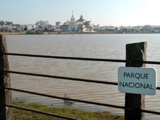 En la imagen de archivo, marisma del Rocío (Huelva) y el pueblo al fondo, que hoy presenta este aspecto. EFE/EDUARDO ABAD