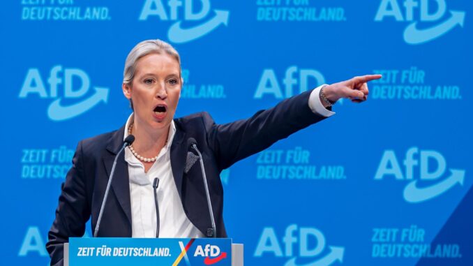 La colíder de Alternativa para Alemania (AfD), Alice Weidel, durante su intervención en el congreso federal de este partido ultraderechista, celebrado en la ciudad de Riesa, que la ratificó como candidata a las elecciones del próximo 23 de febrero. EFE/EPA/Martin Divisek
