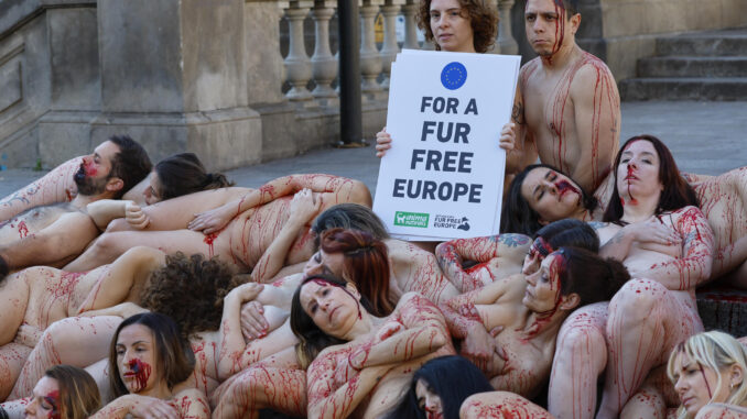 Activistas en favor del bienestar animal se han desnudado este domingo en la céntrica Plaça Catalunya de Barcelona para exigir la prohibición de las granjas peleteras en Europa.EFE/ Toni Albir
