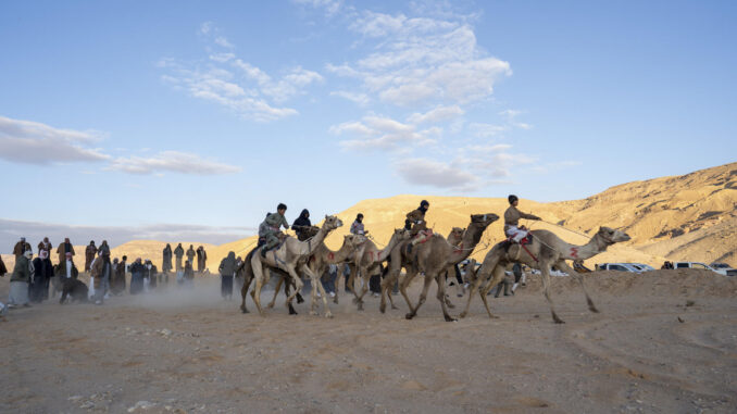 Las tribus beduinas de la península egipcia del Sinaí celebraron este viernes una nueva edición de su famosa carrera de los camellos, que desde hace más de cuarenta años transcurre por el desértico valle de Al Zalaga para recordar un patrimonio centenario de los ancestros de estas comunidades. EFE/Ali Mostafa
