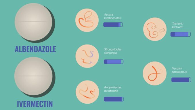 El nuevo fármaco, una combinación de albendazol e ivermectina, pretende ofrecer una herramienta mejor contra los parásitos intestinales conocidos como helmintos transmitidos por el suelo, y ayudar a los países endémicos a alcanzar los objetivos de eliminación fijados en la Hoja de ruta 2021-2030 de la OMS para las enfermedades tropicales desatendidas. Captura de vídeo facilitado por Proyecto STOP2023.ORG. EFE
