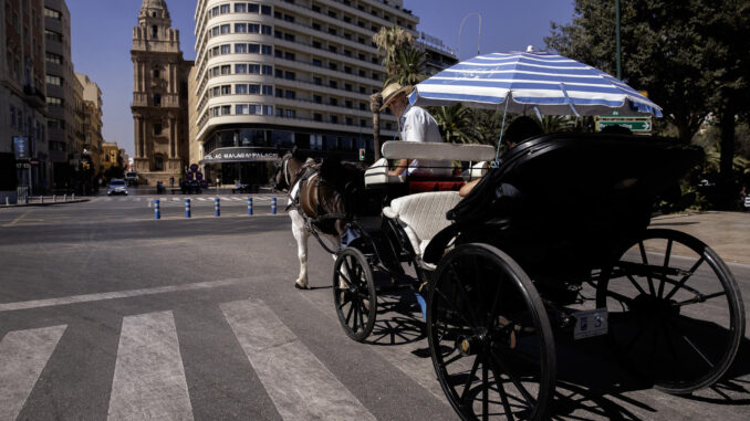 Un coche de caballo realiza su servicio con la catedral de Málaga al fondo en una imagen de archivo. EFE/Jorge Zapata
