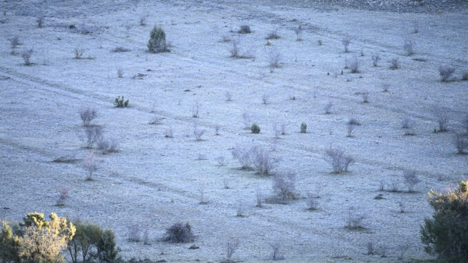 Vista general de un campo helado en Morella este miércoles en el que la Comunitat Valenciana vivirá una jornada de heladas moderadas generalizadas en el interior y localmente débiles en puntos del litoral, antes de dar paso el jueves a chubascos, que pueden ser fuertes en el litoral sur de Valencia y norte de Alicante, según la Agencia Estatal de Meteorología (AEMET). EFE/Andreu Esteban
