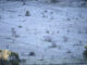 Vista general de un campo helado en Morella este miércoles en el que la Comunitat Valenciana vivirá una jornada de heladas moderadas generalizadas en el interior y localmente débiles en puntos del litoral, antes de dar paso el jueves a chubascos, que pueden ser fuertes en el litoral sur de Valencia y norte de Alicante, según la Agencia Estatal de Meteorología (AEMET). EFE/Andreu Esteban