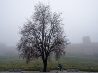 Una persona monta en bicicleta junto a la muralla de Ávila, entre la niebla, este martes. EFE/ Raúl Sanchidrián