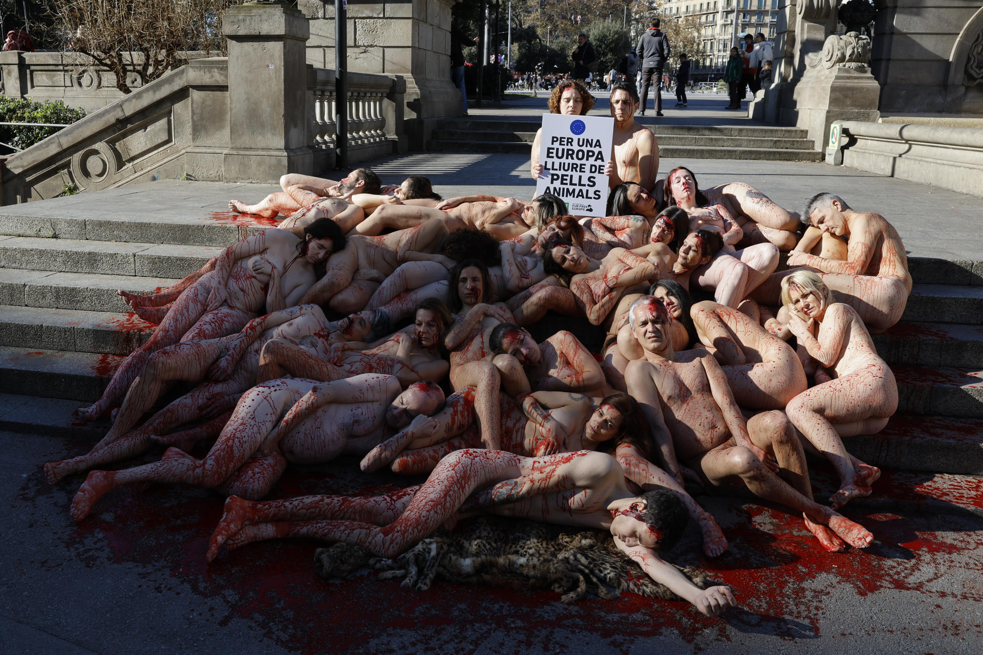 Activistas en favor del bienestar animal se han desnudado este domingo en la céntrica Plaça Catalunya de Barcelona para exigir la prohibición de las granjas peleteras en Europa.EFE/ Toni Albir
